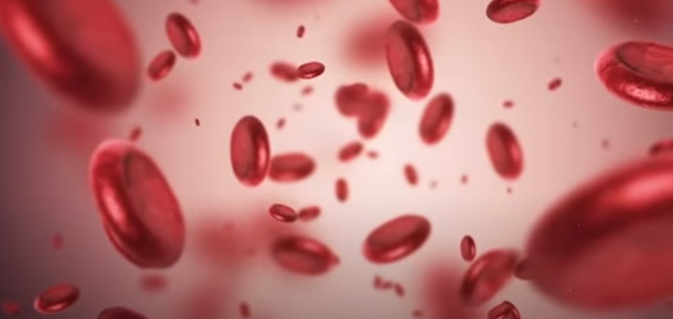 हीमोग्लोबिन बढ़ाने के लिए क्या खाएं Anaemia Home Remedies - शरीर में खून की कमी - घरेलु इलाज
